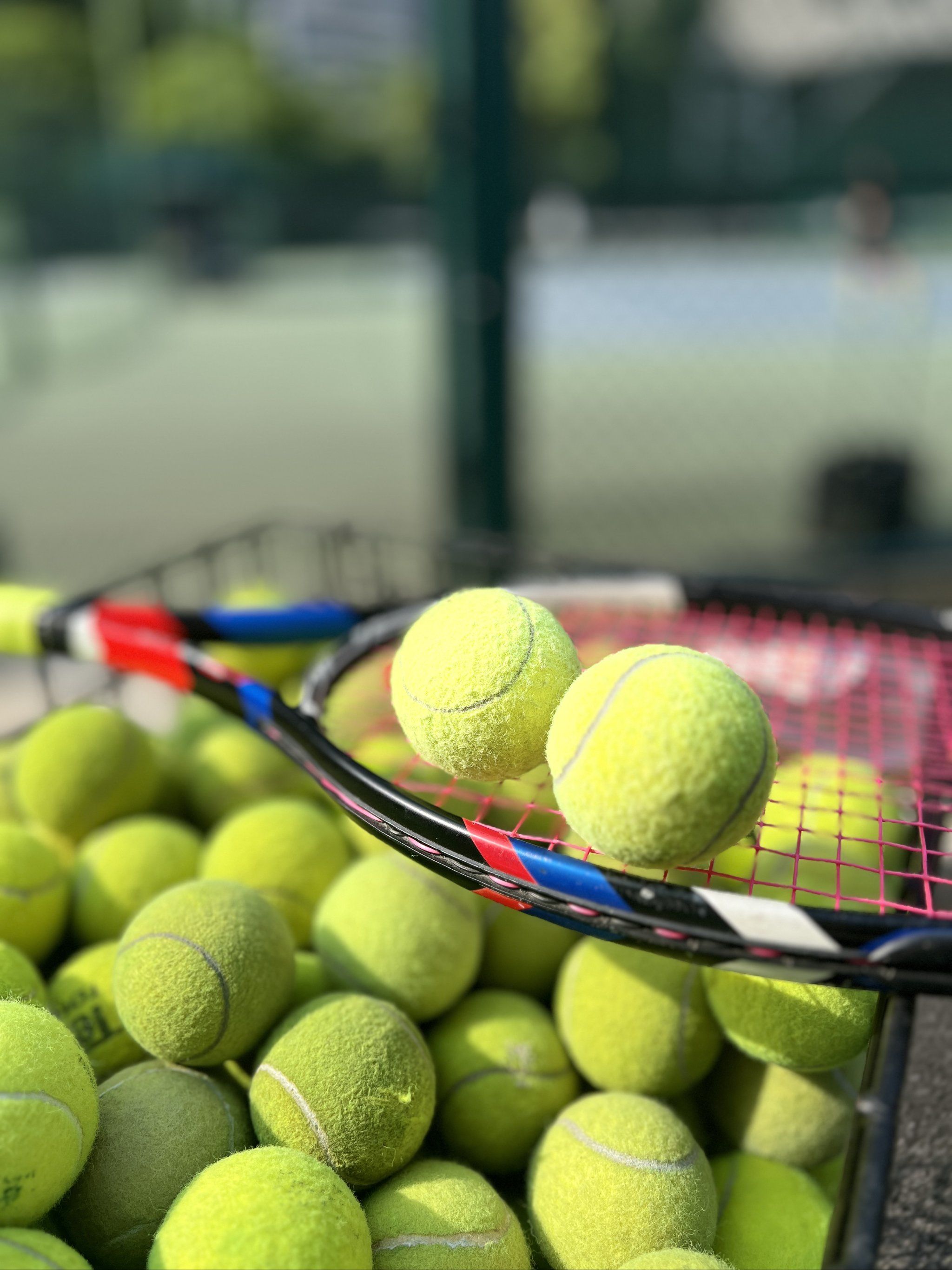 深受观众喜 深受观众喜