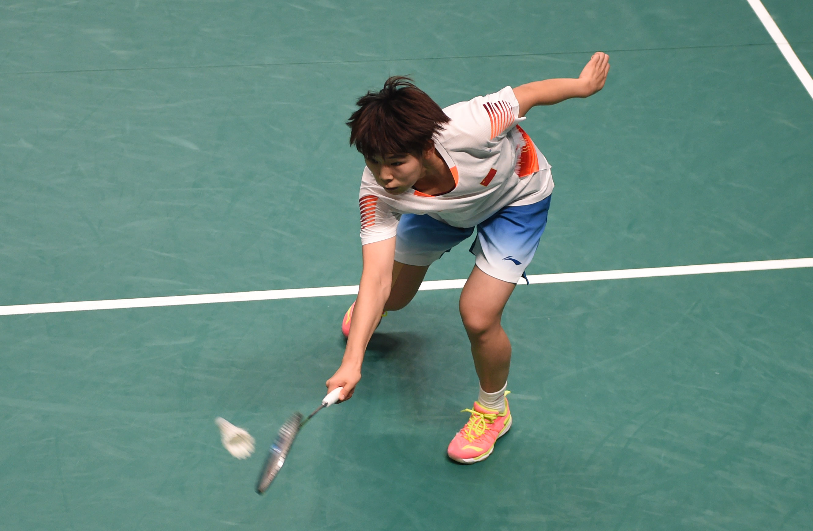 中的多变性 中的多变性