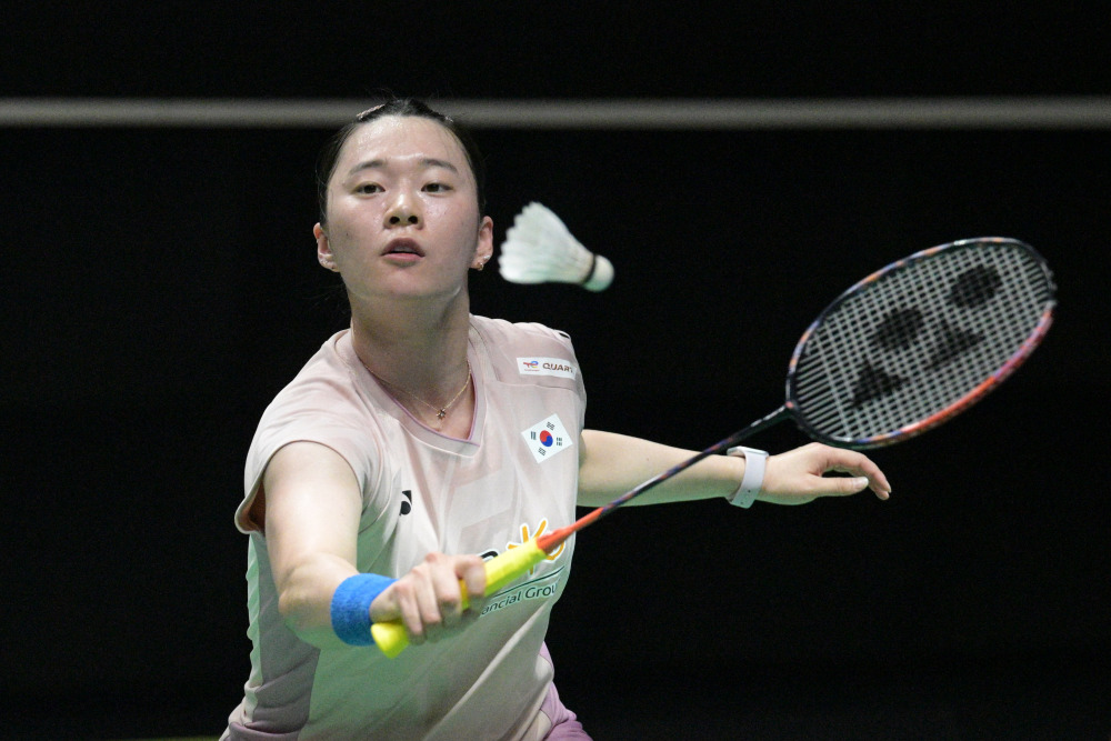 球双打领域 球双打领域